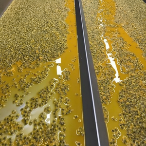 Meilleur prix pour les fruits de la passion surgelés IQF, conservés à l'eau en vrac pour le jus, prêts à être expédiés depuis le Vietnam par 99 Gold Data. - Product Image 1