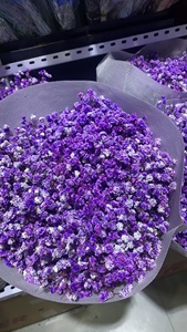 Aliento de bebé preservado versátil de 100-120g al por mayor para decoraciones de boda - Product Image 2