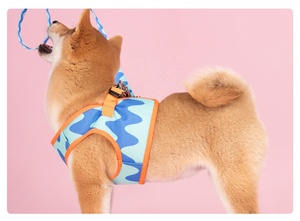 Arnés de Paseo para Perros de Malla de Poliéster Personalizado al por Mayor con Chalecos y Correa a Juego - Product Image 4