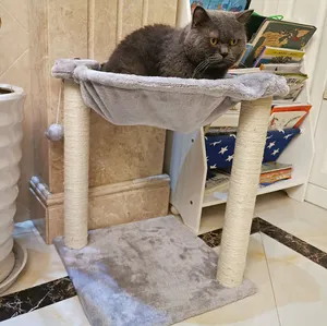 Kattenboom Grijs Kucing Kucing Tempat Tidur Gantung Tempat Tidur Kucing Anjing Rumah Ide Rumah Sisal
