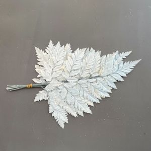 Feuilles <span class=keywords><strong>de</strong></span> <span class=keywords><strong>fougère</strong></span> préservées très demandées, bouquet <span class=keywords><strong>de</strong></span> feuilles <span class=keywords><strong>de</strong></span> <span class=keywords><strong>fougère</strong></span> alpine pour arrangement en vase, décoration ou création <span class=keywords><strong>de</strong></span> bouquets - Product Image 4