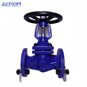 केम dn25 कास्ट आयरन ग्लोब वाल्व wj41h मैनुअल भाप नियंत्रण पानी को बंद उच्च तापमान ओएम अनुकूलन योग्य सामान्य कारखाने - Product Image 2