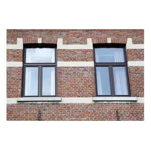 Высокое качество индивидуальные створчатые окна звукоизоляционные алюминиевые качели дизайн окна по низкой цене