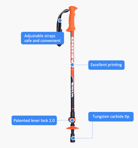 Bâton de randonnée léger <span class=keywords><strong>en</strong></span> aluminium pour enfant, bâton de marche pour enfant, junior, enfants, bâton de randonnée <span class=keywords><strong>en</strong></span> montagne, canne d'escalade, usine OEM/ODM - Product Image 2