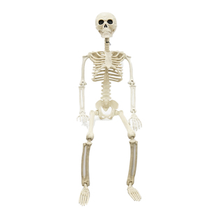 Esqueleto de tamaño real de plástico de alta calidad para Halloween - Product Image 3