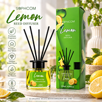 Diffuseur de parfum floral pour la maison, bouteille en verre, bâtonnets en fibre, décoration aromatique, vente en gros, fabricant, emballage cadeau