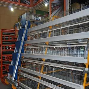 Jaulas de pollos para granjas de Sudán Jaula de pollos Máquina automática de recolección de <span class=keywords><strong>huevos</strong></span> Jaulas de 3 pisos para pollos de engorde - Product Image 4