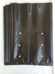 Sacchetto di crescita con fori di scarico per piante di carote di cipolla - Product Image 2