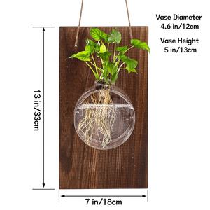 Stazione di propagazione delle piante ecologica personalizzata appeso a parete vaso di fiori per piante idroponiche vaso di vetro appeso con <span class=keywords><strong>Base</strong></span> in legno - Product Image 6
