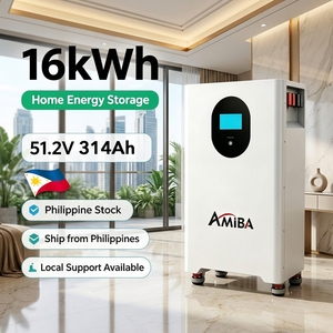 Batterie murale de secours solaire 15 kWh 300 Ah 51,2 V pour stockage d'énergie domestique - Product Image 5