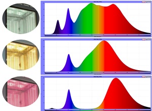 Incubadora de Temperatura Constante de Alta Calidad, Intensidad de Luz 1, Fluctuación del 10%, Humedad para Laboratorio - Product Image 4