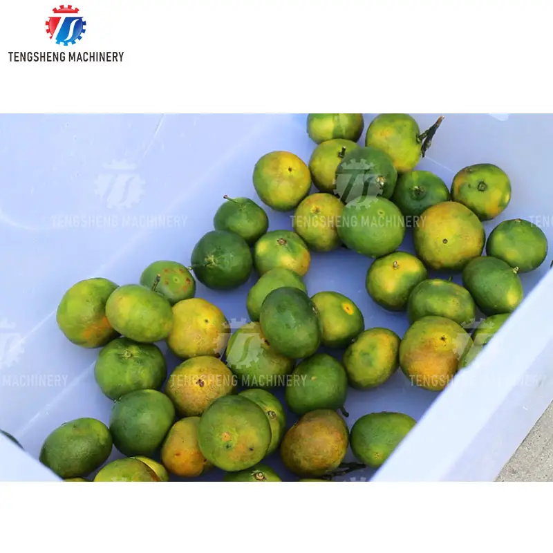 Automatische Peer Avocado Mango Oranje Roller Reiniging Stro Verwijdering Machine Fruit Citrus Wassen Productielijn