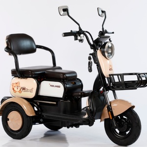 Nouveau tricycle électrique domestique haute vitesse 60V 800W, véhicule électrique à trois roues, 5 passagers, 1000W, électro-tricycle pour personnes âgées - Product Image 1