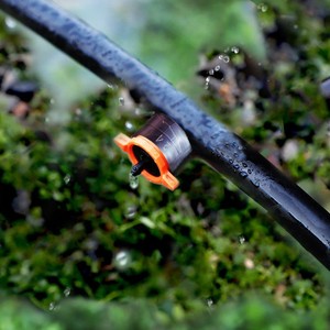 DaringFish <span class=keywords><strong>Goutteur</strong></span> micro stabilisé à compensation de pression réglable pour irrigation goutte à goutte Quatre mille deux cents 1 Simple - Product Image 2