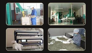 KAIYANGE nuevo producto té de jazmín seco orgánico té de flores más famoso de China té de jazmín GanLuPiaoXue - Product Image 6