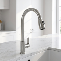 Robinet de cuisine moderne à bec extractible en acier inoxydable 304, mitigeur hygiénique pour évier de cuisine