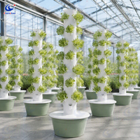 Tour aéroponique ChenChao de haute qualité avec trous de plantation, système hydroponique vertical pour la plantation à domicile et dans le jardin