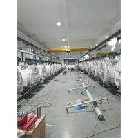 Chine monocristallin sucre de roche cristalliseur cristallisation machine