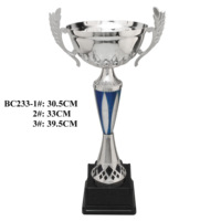 Offre Spéciale – Trophée Étoile Métallique Personnalisé de Luxe Gravé, Impression Letterpress, pour Baseball, Rugby, Basketball – Trophées Sportifs Phoenix