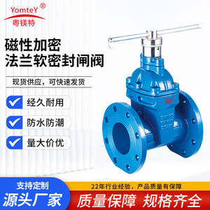 Guangdong Magnesium Special Gate Valve Flange Soft Seal Rubber Lining Single Gate Water Low Temperature Type - Product Image 5