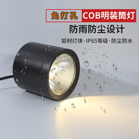 Spot Étanche IP65 Monté en Surface Down Light Spot Lampe Cob 7W 12W 20W 30W Extérieur Balcon Terrasse Plafond Led Downlight