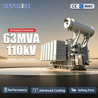 Transformateur de puissance monophasé 63 MVA 110 kV immergé dans l'huile, entièrement scellé, en cuivre/aluminium, à bobinage multiple, 60 Hz