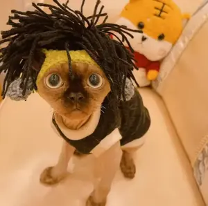 Partager en gros drôle chien chat Cosplay fête à capuche chien mignon vêtements animal de compagnie noël créativité Halloween animal de compagnie