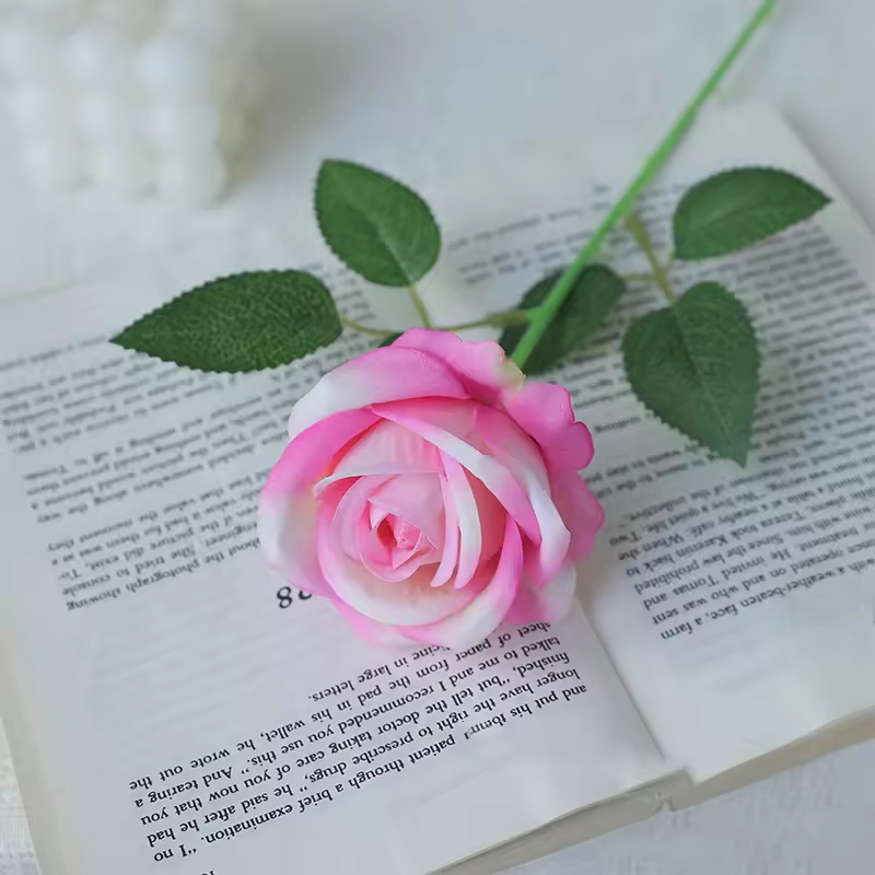 Seven color pink