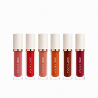 Teinte à lèvres liquide mate personnalisable avec logo, résistante au transfert, anti-adhésive, effet nude, longue tenue, gloss à lèvres velours, cosmétiques OEM