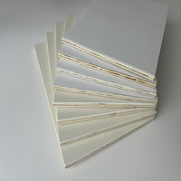 Paneles compuestos GFRP Panel compuesto de construcción sándwich de madera FRP con característica térmica Técnica de moldeo con revestimiento de gel