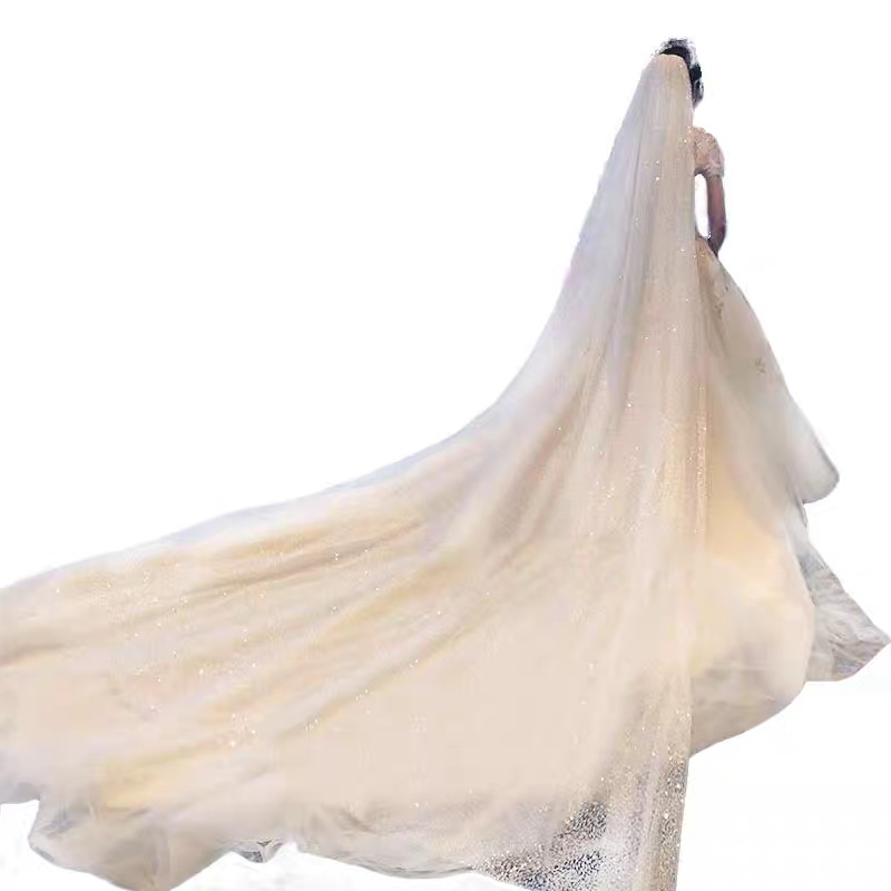 Звездное небо яркая мигающая Вуаль Длинный хвост сетка знаменитости Фото Мастер Свадьба невесты Свадьба золотой спрей головной убор подарок металл