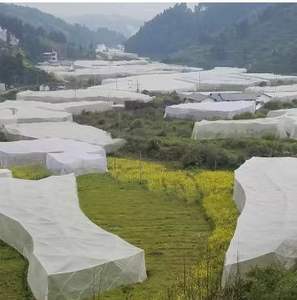 פ אנטי חרקים נטו להגן על יבולים לנשוך על ידי חרק חיצוני מוגן נטו - Product Image 1