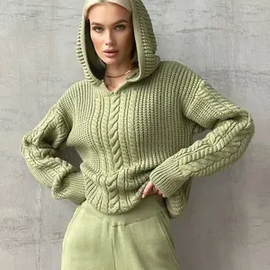 B27504-优质冬秋保暖毛衣针织连帽纯色长袖女式t恤