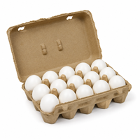 Confezione per Uova in Polpa di Carta Modellata a 15 Scomparti, Biodegradabile, Scatola per Uova di Gallina con Logo Personalizzato