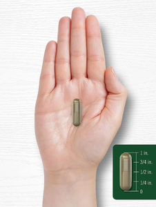 Oem tùy chỉnh Hữu Cơ sư tử bờm nấm viên nang nhãn hiệu riêng cao cấp chất lượng miễn dịch hỗ trợ 60 viên nang/chai cho người lớn - Product Image 3