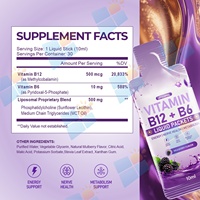 Liposomale Vitamine B12 B6 Vloeibare Sachets Moerbeismaak 500mcg Energie Ondersteuning 10ml 30 stuks Aangepaste Supplementen Fabrikant