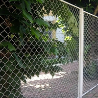 Malla de Alambre Galvanizada por Inmersión en Caliente de 2.0-3.5mm 50*50mm para Perímetros de Estaciones de Esquí y Deportes de Invierno