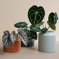 Moderne 3 tailles forme ronde intérieur extérieur décor ciment rustique terre cuite produits pour la maison et le jardin pots de fleurs jardinières