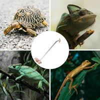 Pinces pour aquarium PKY, pinces courbées et droites pour plantes d'aquarium, pinces d'alimentation pour reptiles, outils d'alimentation