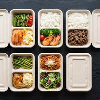 Wegwerp suikerrietbagasse BPA-vrije deksel cateringdoos voor afhaalmaaltijden, biologisch afbreekbaar, magnetronbestendig, aanpasbaar voor sushi, gebak en desserts
