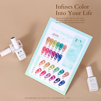 Pour OEM, 12 couleurs, 7 ml, vernis gel œil de chat néon, DIY, écologique, professionnel, marque privée, couleur naturelle, végétalien