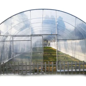 高品质隧道/单栋塑料/薄膜温室/温室农业