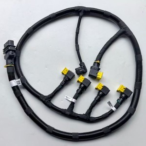 Harnais de convertisseur catalytique de haute qualité <span class=keywords><strong>EGP</strong></span> A067A034 C5511797 Convient au système d'échappement des moteurs <span class=keywords><strong>Euro</strong></span> 6 - Product Image 2