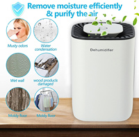 Nouveau Déshumidificateur Intelligent Portable Mini 800ml Personnalisable Tendance 2026 pour Maison, Chambre et Salle de Bain