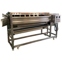 Nouvelle Machine à Peler et Laver le Manioc et les Pommes de Terre, Polisseuse de Fruits et Éplucheuse de Patates Douces et de Carottes pour Usage Agricole et Légumes