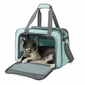 Hot Sale tragbare Reise Single Shoulder Tote Hund Katze sichtbare Haustier Tasche faltbare Mesh atmungsaktive Träger Haustier Tasche