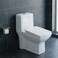 WC monobloc en céramique à siphon en S, chasse d'eau à jet Tornado, à poser au sol, toilettes occidentales