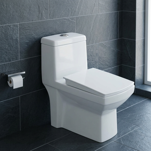 WC monobloc en céramique Vistaar à chasse d'eau par siphon à jet, à poser au sol, pour lavabo - Product Image 4