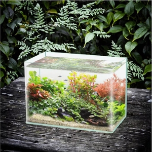 WholesaleGlass Fish Tank Pequeno Ecológico 5 1 Água Salgada Ultra Branco Claro Bent Aquário Cilindro Uso Doméstico Caixa Embalagem - Product Image 2