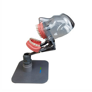 Simulador dental de mesa Phantom Head Dental Foshan - Product Image 1